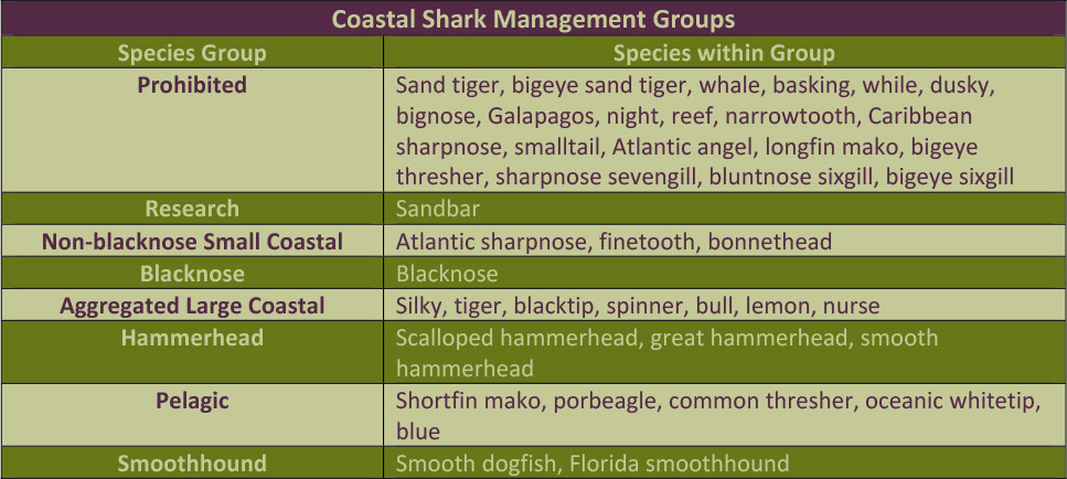 Costal Sharks